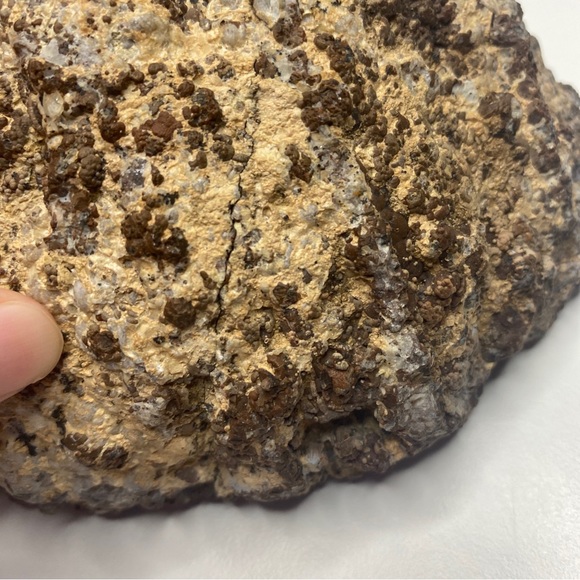 2LB14oz natural Crystal Agate Geode Quartz Crystal Healing with little squirrel - Picture 8 of 10